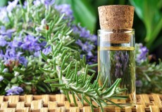 Lợi ích của hương thảo đối với việc chăm sóc da