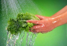 Thực phẩm giúp hạn chế bệnh loãng xương