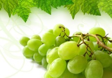 Tác dụng làm đẹp da của chiết xuất hạt nho