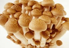 8 thực phẩm có tác dụng giảm cân nhanh